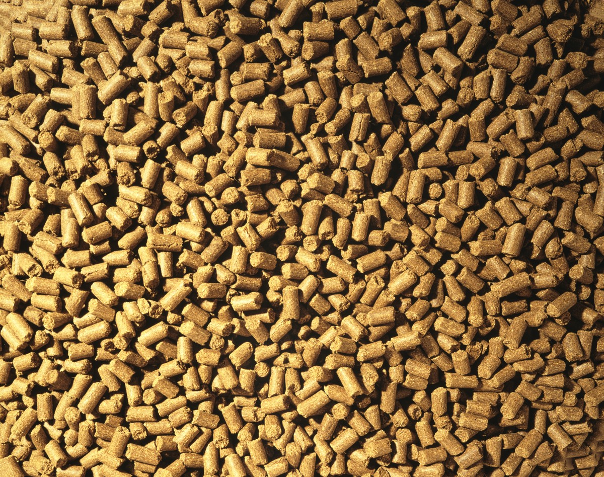 pellet